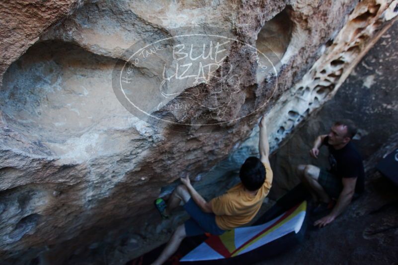 

Filename: SRM_20170317_1006290.jpg
Aperture: f/3.5
Shutter Speed: 1/320
Body: Canon EOS-1D Mark II
Lens: Canon EF 16-35mm f/2.8 L
