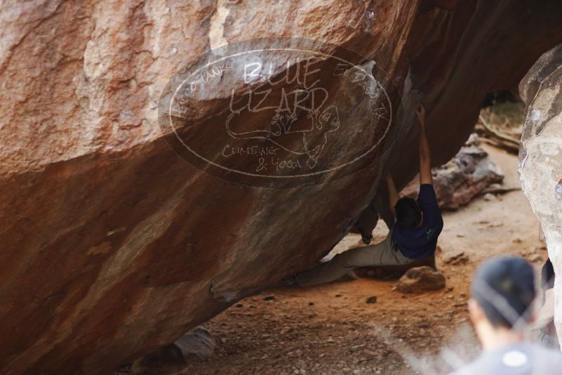 

Filename: SRM_20170317_1029421.jpg
Aperture: f/2.0
Shutter Speed: 1/250
Body: Canon EOS-1D Mark II
Lens: Canon EF 85mm f/1.2 L II