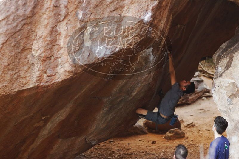 

Filename: SRM_20170317_1031140.jpg
Aperture: f/2.5
Shutter Speed: 1/250
Body: Canon EOS-1D Mark II
Lens: Canon EF 85mm f/1.2 L II