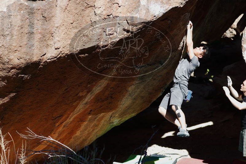 

Filename: SRM_20170317_1102343.jpg
Aperture: f/4.0
Shutter Speed: 1/2500
Body: Canon EOS-1D Mark II
Lens: Canon EF 85mm f/1.2 L II