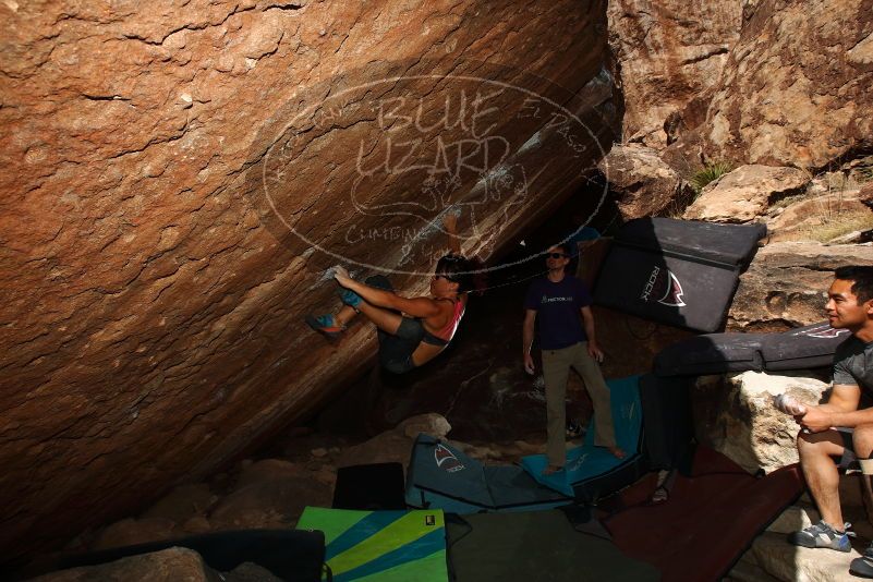

Filename: SRM_20170317_1606170.jpg
Aperture: f/9.0
Shutter Speed: 1/250
Body: Canon EOS-1D Mark II
Lens: Canon EF 16-35mm f/2.8 L