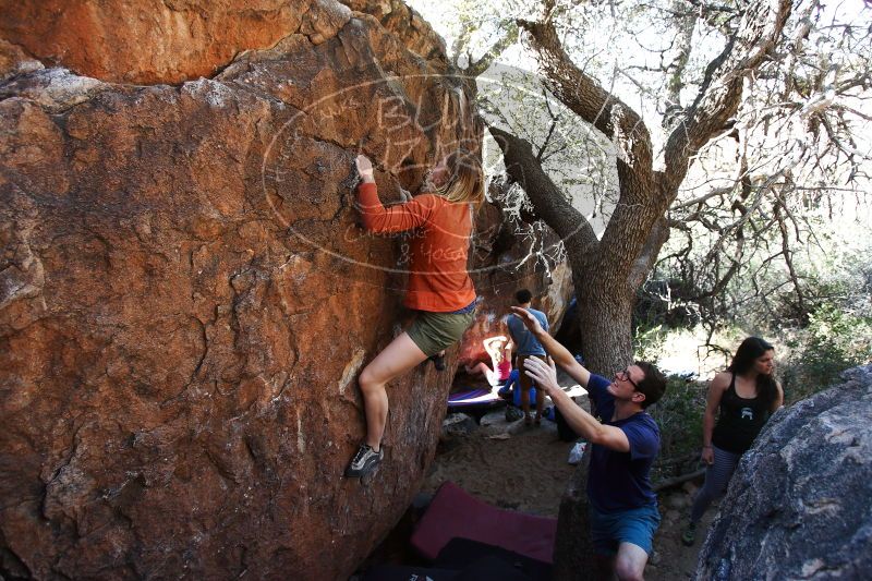 

Filename: SRM_20170325_1007561.jpg
Aperture: f/4.0
Shutter Speed: 1/400
Body: Canon EOS-1D Mark II
Lens: Canon EF 16-35mm f/2.8 L