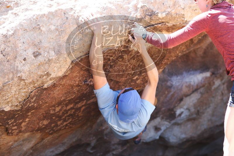 

Filename: SRM_20170325_1302590.jpg
Aperture: f/2.8
Shutter Speed: 1/800
Body: Canon EOS-1D Mark II
Lens: Canon EF 85mm f/1.2 L II