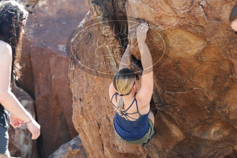 

Filename: SRM_20170325_1306430.jpg
Aperture: f/2.8
Shutter Speed: 1/640
Body: Canon EOS-1D Mark II
Lens: Canon EF 50mm f/1.8 II