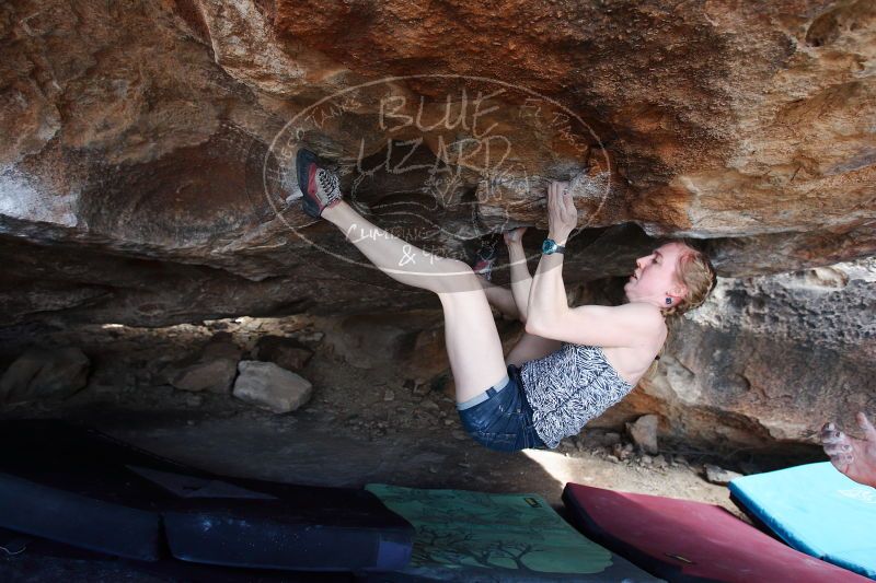 

Filename: SRM_20170325_1519311.jpg
Aperture: f/4.0
Shutter Speed: 1/400
Body: Canon EOS-1D Mark II
Lens: Canon EF 16-35mm f/2.8 L