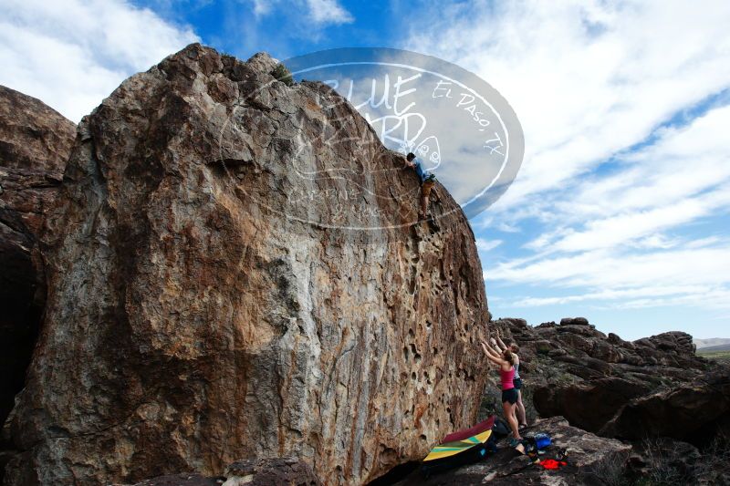 

Filename: SRM_20170325_1559370.jpg
Aperture: f/9.0
Shutter Speed: 1/250
Body: Canon EOS-1D Mark II
Lens: Canon EF 16-35mm f/2.8 L