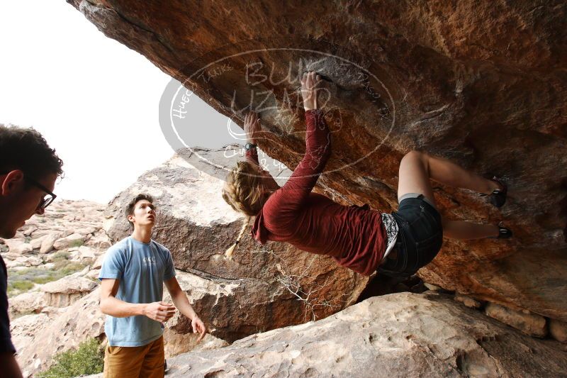 

Filename: SRM_20170325_1621110.jpg
Aperture: f/9.0
Shutter Speed: 1/200
Body: Canon EOS-1D Mark II
Lens: Canon EF 16-35mm f/2.8 L