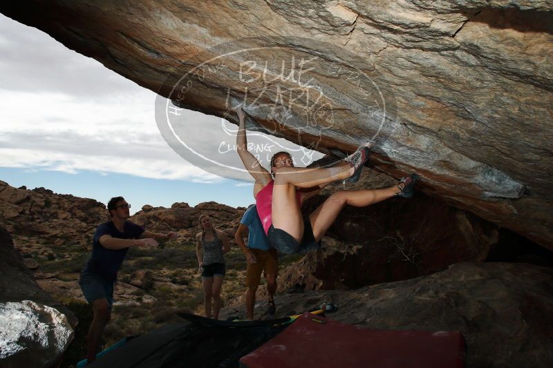 

Filename: SRM_20170325_1634020.jpg
Aperture: f/9.0
Shutter Speed: 1/250
Body: Canon EOS-1D Mark II
Lens: Canon EF 16-35mm f/2.8 L
