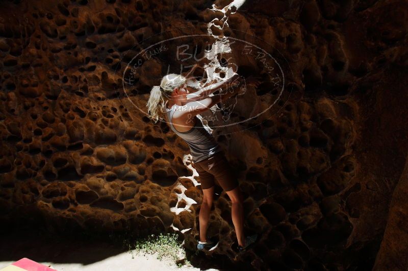 

Filename: SRM_20170525_1135591.jpg
Aperture: f/11.0
Shutter Speed: 1/200
Body: Canon EOS-1D Mark II
Lens: Canon EF 16-35mm f/2.8 L