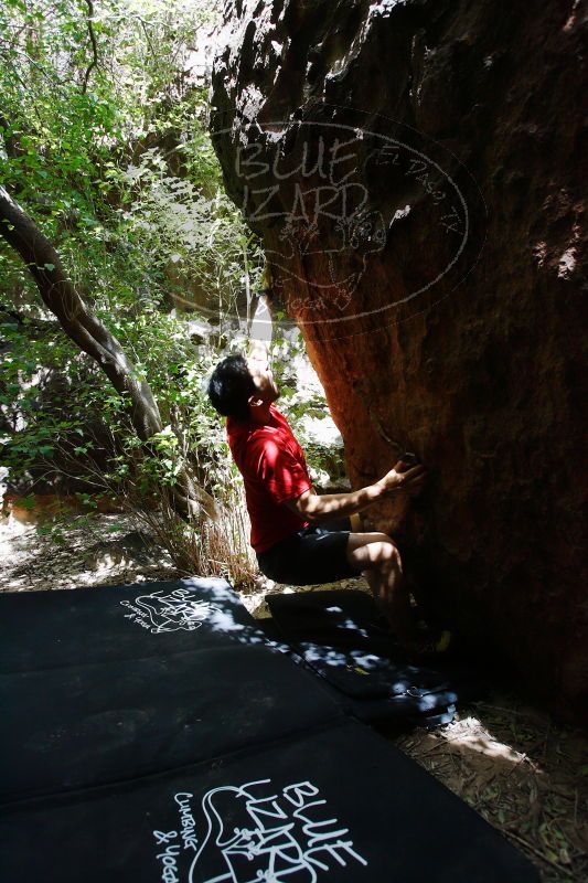 

Filename: SRM_20170525_1347361.jpg
Aperture: f/4.5
Shutter Speed: 1/320
Body: Canon EOS-1D Mark II
Lens: Canon EF 16-35mm f/2.8 L
