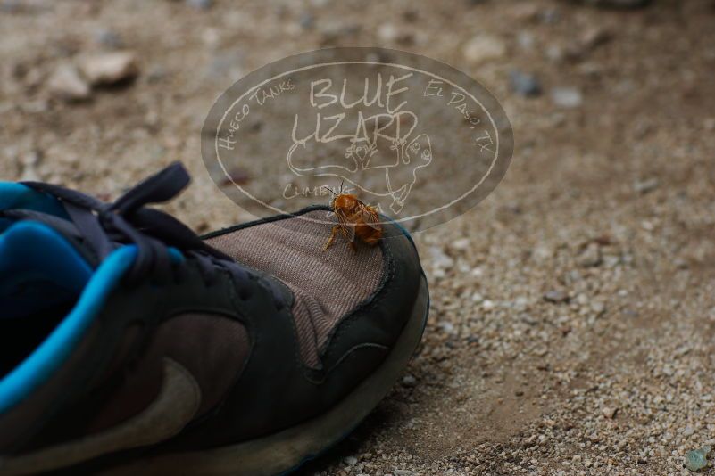 

Filename: SRM_20170625_1526152.jpg
Aperture: f/4.0
Shutter Speed: 1/640
Body: Canon EOS-1D Mark II
Lens: Canon EF 85mm f/1.2 L II