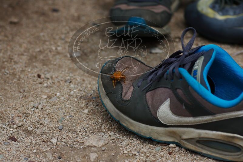 

Filename: SRM_20170625_1526320.jpg
Aperture: f/4.0
Shutter Speed: 1/800
Body: Canon EOS-1D Mark II
Lens: Canon EF 85mm f/1.2 L II