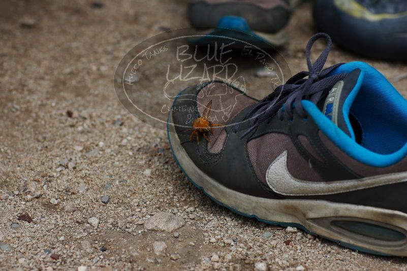 

Filename: SRM_20170625_1526321.jpg
Aperture: f/4.0
Shutter Speed: 1/800
Body: Canon EOS-1D Mark II
Lens: Canon EF 85mm f/1.2 L II