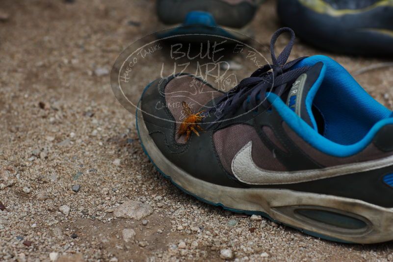 

Filename: SRM_20170625_1526331.jpg
Aperture: f/4.0
Shutter Speed: 1/800
Body: Canon EOS-1D Mark II
Lens: Canon EF 85mm f/1.2 L II