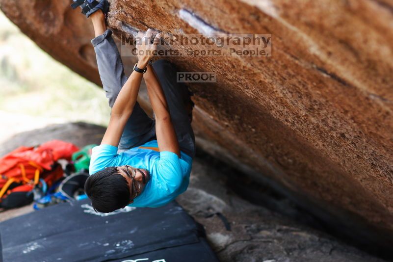 

Filename: SRM_20170703_1209450.jpg
Aperture: f/2.0
Shutter Speed: 1/640
Body: Canon EOS-1D Mark II
Lens: Canon EF 85mm f/1.2 L II