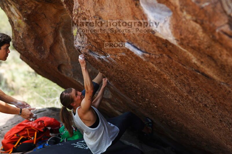 

Filename: SRM_20170703_1215281.jpg
Aperture: f/2.8
Shutter Speed: 1/500
Body: Canon EOS-1D Mark II
Lens: Canon EF 85mm f/1.2 L II