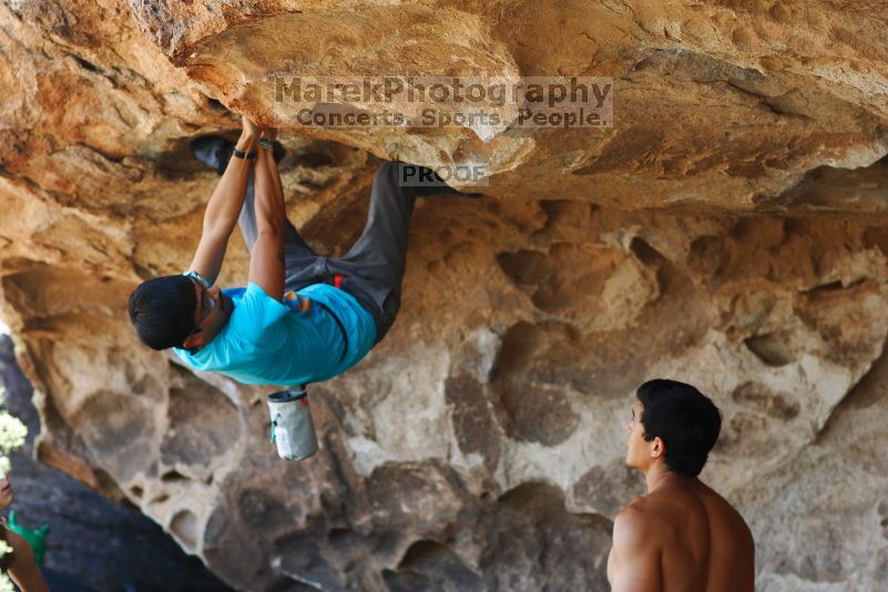 

Filename: SRM_20170703_1326411.jpg
Aperture: f/2.8
Shutter Speed: 1/320
Body: Canon EOS-1D Mark II
Lens: Canon EF 85mm f/1.2 L II