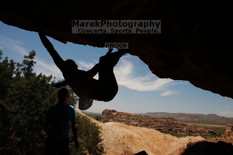 

Filename: SRM_20170703_1358080.jpg
Aperture: f/8.0
Shutter Speed: 1/250
Body: Canon EOS-1D Mark II
Lens: Canon EF 16-35mm f/2.8 L