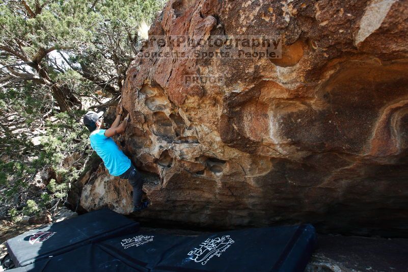 

Filename: SRM_20170703_1424431.jpg
Aperture: f/5.6
Shutter Speed: 1/320
Body: Canon EOS-1D Mark II
Lens: Canon EF 16-35mm f/2.8 L