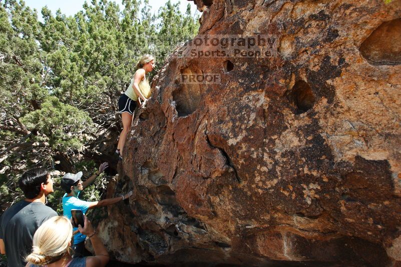 

Filename: SRM_20170703_1432281.jpg
Aperture: f/6.3
Shutter Speed: 1/640
Body: Canon EOS-1D Mark II
Lens: Canon EF 16-35mm f/2.8 L