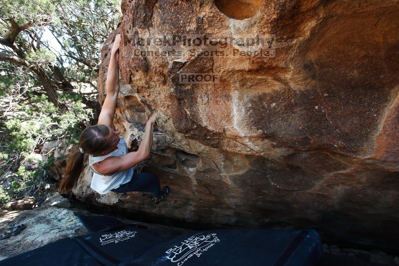 

Filename: SRM_20170703_1442511.jpg
Aperture: f/5.6
Shutter Speed: 1/320
Body: Canon EOS-1D Mark II
Lens: Canon EF 16-35mm f/2.8 L