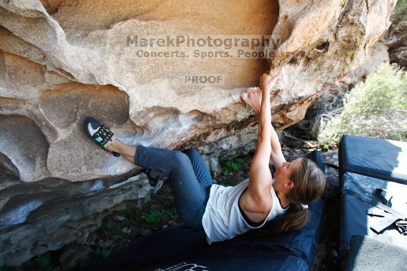 

Filename: SRM_20170703_1515000.jpg
Aperture: f/4.0
Shutter Speed: 1/640
Body: Canon EOS-1D Mark II
Lens: Canon EF 16-35mm f/2.8 L