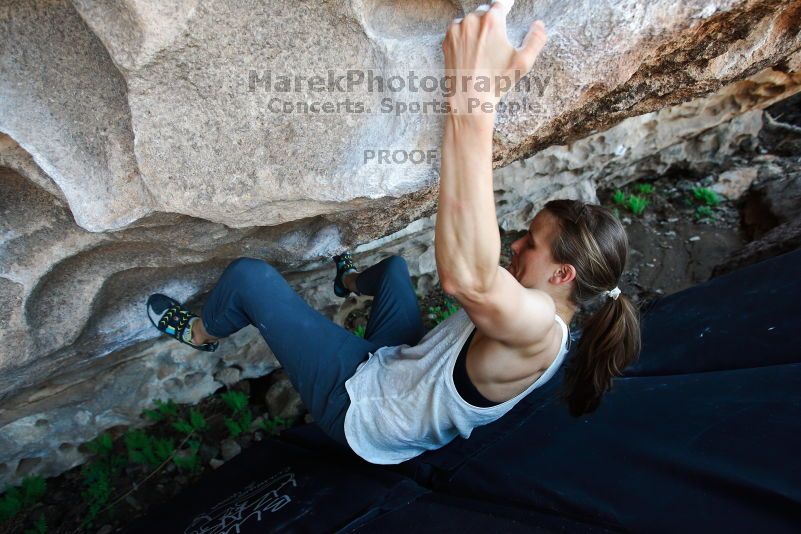 

Filename: SRM_20170703_1525493.jpg
Aperture: f/4.0
Shutter Speed: 1/160
Body: Canon EOS-1D Mark II
Lens: Canon EF 16-35mm f/2.8 L