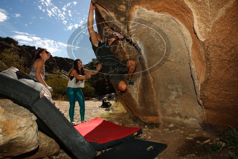 

Filename: SRM_20171020_1117180.jpg
Aperture: f/7.1
Shutter Speed: 1/250
Body: Canon EOS-1D Mark II
Lens: Canon EF 16-35mm f/2.8 L