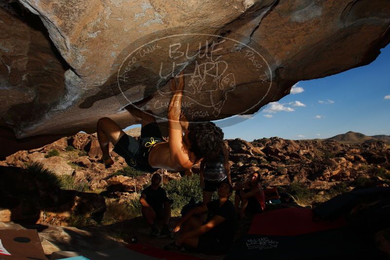 

Filename: SRM_20171020_1642260.jpg
Aperture: f/8.0
Shutter Speed: 1/250
Body: Canon EOS-1D Mark II
Lens: Canon EF 16-35mm f/2.8 L