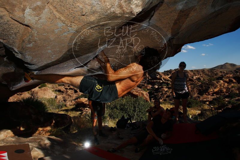 

Filename: SRM_20171020_1642550.jpg
Aperture: f/8.0
Shutter Speed: 1/250
Body: Canon EOS-1D Mark II
Lens: Canon EF 16-35mm f/2.8 L
