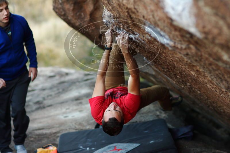 

Filename: SRM_20171118_1748561.jpg
Aperture: f/2.0
Shutter Speed: 1/320
Body: Canon EOS-1D Mark II
Lens: Canon EF 85mm f/1.2 L II