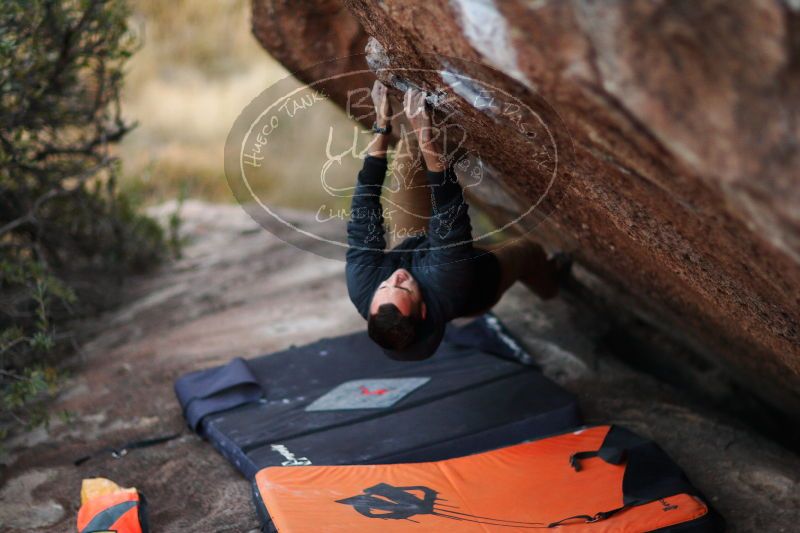

Filename: SRM_20171118_1811200.jpg
Aperture: f/1.2
Shutter Speed: 1/160
Body: Canon EOS-1D Mark II
Lens: Canon EF 85mm f/1.2 L II
