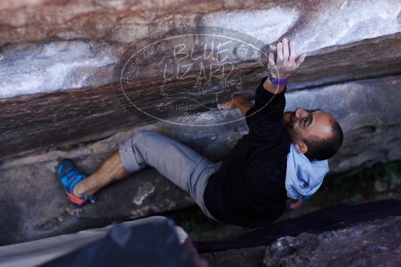 

Filename: SRM_20171119_1212010.jpg
Aperture: f/2.5
Shutter Speed: 1/320
Body: Canon EOS-1D Mark II
Lens: Canon EF 85mm f/1.2 L II