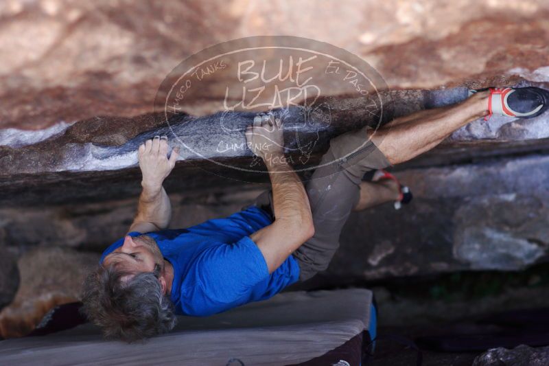 

Filename: SRM_20171119_1214140.jpg
Aperture: f/2.5
Shutter Speed: 1/500
Body: Canon EOS-1D Mark II
Lens: Canon EF 85mm f/1.2 L II