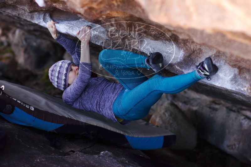 

Filename: SRM_20171119_1220320.jpg
Aperture: f/2.5
Shutter Speed: 1/250
Body: Canon EOS-1D Mark II
Lens: Canon EF 85mm f/1.2 L II