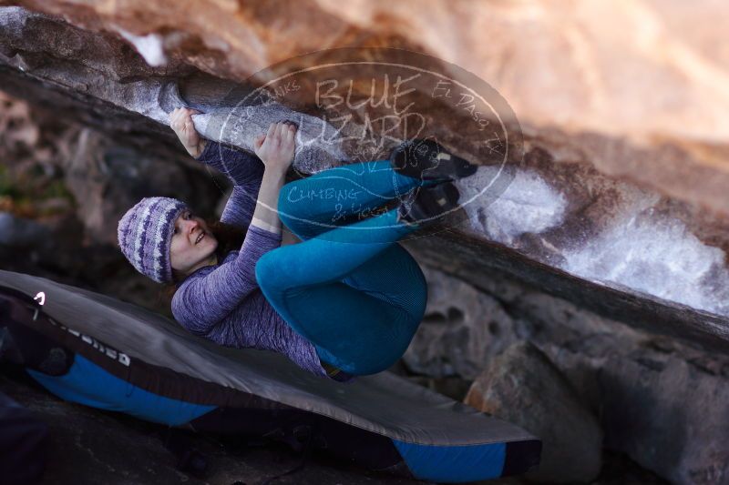 

Filename: SRM_20171119_1220380.jpg
Aperture: f/2.5
Shutter Speed: 1/250
Body: Canon EOS-1D Mark II
Lens: Canon EF 85mm f/1.2 L II