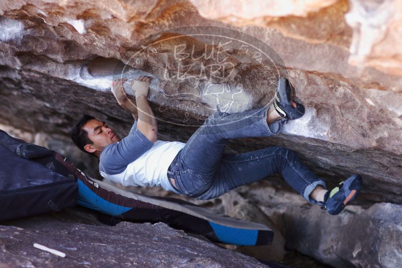 

Filename: SRM_20171119_1226140.jpg
Aperture: f/2.5
Shutter Speed: 1/80
Body: Canon EOS-1D Mark II
Lens: Canon EF 85mm f/1.2 L II