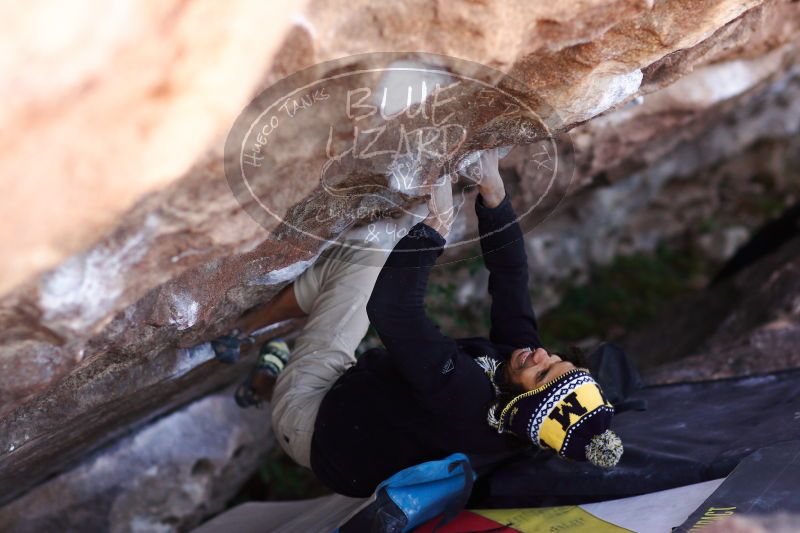 

Filename: SRM_20171119_1232561.jpg
Aperture: f/2.2
Shutter Speed: 1/500
Body: Canon EOS-1D Mark II
Lens: Canon EF 85mm f/1.2 L II