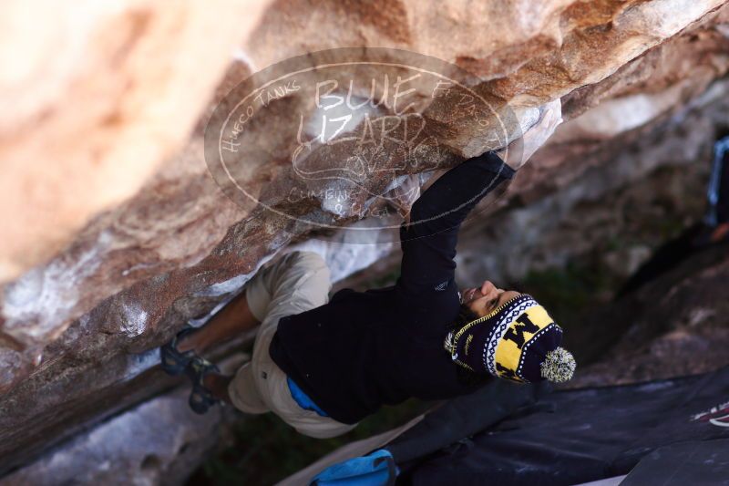 

Filename: SRM_20171119_1232571.jpg
Aperture: f/2.2
Shutter Speed: 1/640
Body: Canon EOS-1D Mark II
Lens: Canon EF 85mm f/1.2 L II