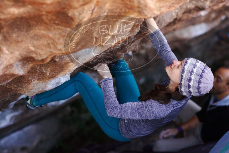 

Filename: SRM_20171119_1233420.jpg
Aperture: f/2.2
Shutter Speed: 1/1000
Body: Canon EOS-1D Mark II
Lens: Canon EF 85mm f/1.2 L II