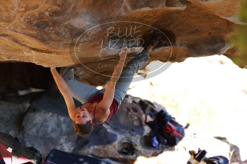 

Filename: SRM_20171124_1539270.jpg
Aperture: f/2.0
Shutter Speed: 1/640
Body: Canon EOS-1D Mark II
Lens: Canon EF 85mm f/1.2 L II