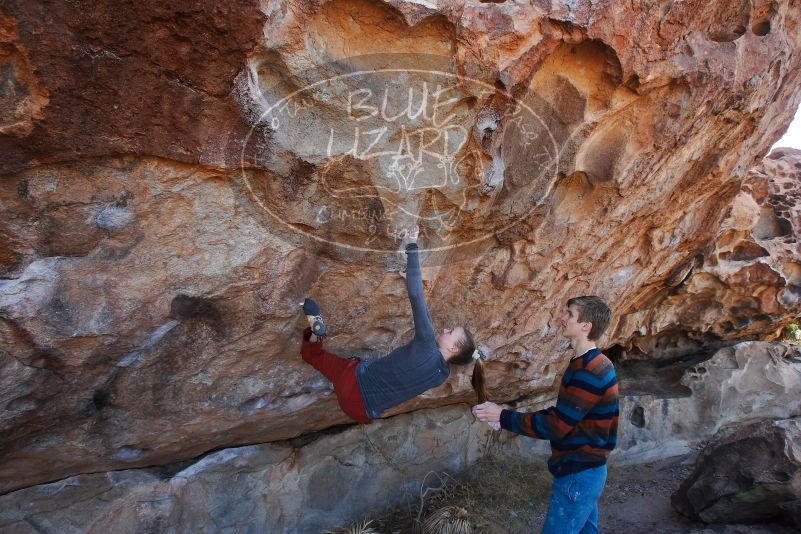 

Filename: SRM_20180105_1112130.jpg
Aperture: f/6.3
Shutter Speed: 1/250
Body: Canon EOS-1D Mark II
Lens: Canon EF 16-35mm f/2.8 L