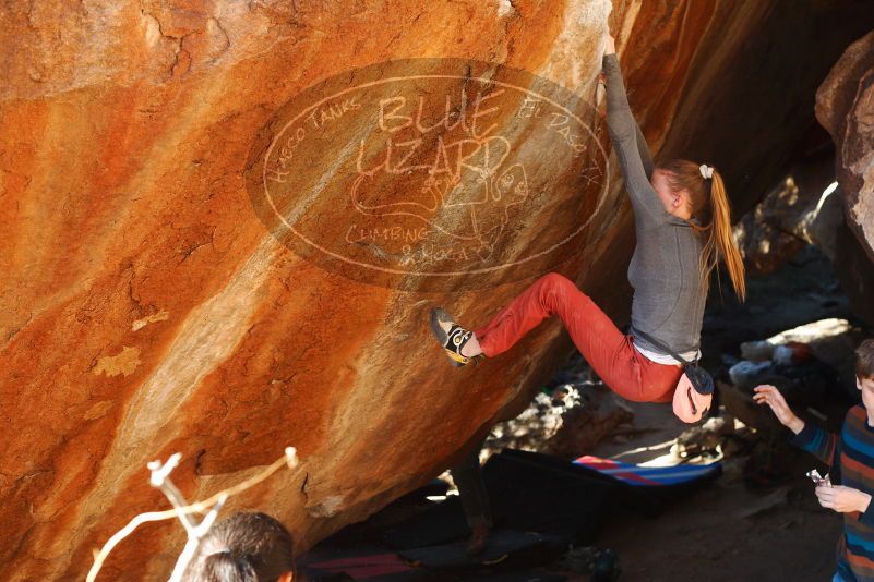 

Filename: SRM_20180105_1624030.jpg
Aperture: f/4.0
Shutter Speed: 1/250
Body: Canon EOS-1D Mark II
Lens: Canon EF 50mm f/1.8 II