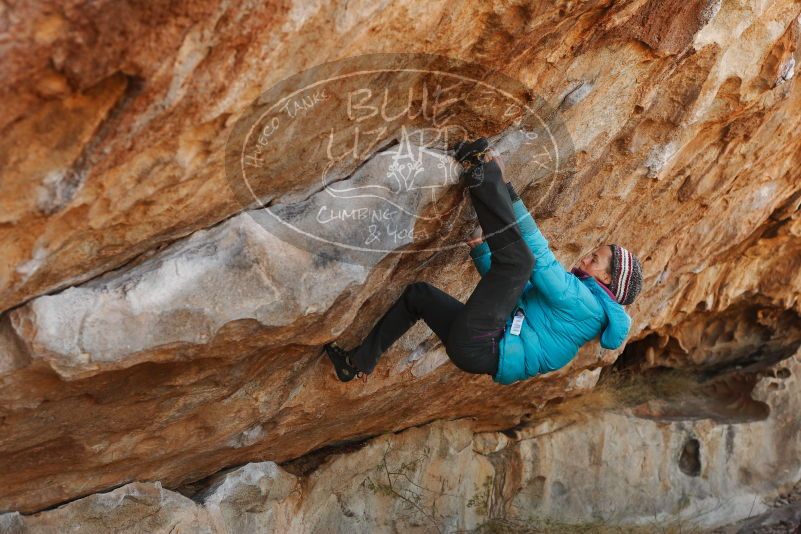 

Filename: SRM_20180103_1122350.jpg
Aperture: f/4.0
Shutter Speed: 1/500
Body: Canon EOS-1D Mark II
Lens: Canon EF 50mm f/1.8 II