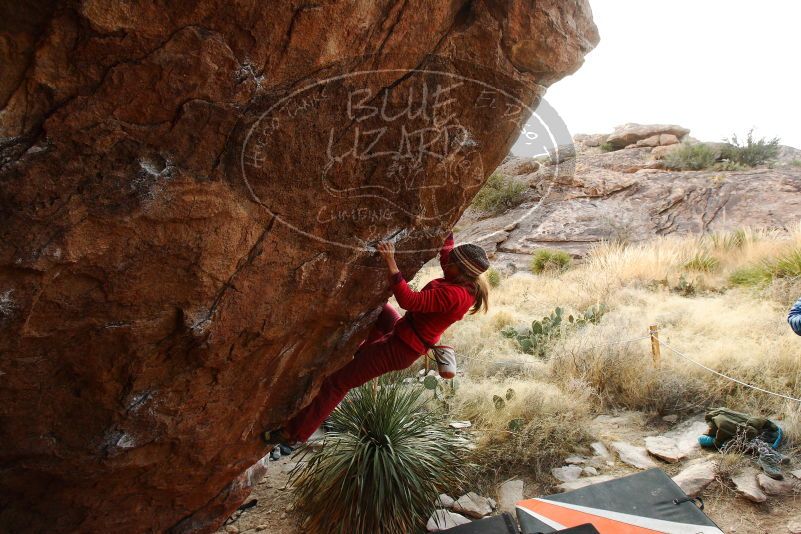 

Filename: SRM_20180103_1730380.jpg
Aperture: f/5.6
Shutter Speed: 1/250
Body: Canon EOS-1D Mark II
Lens: Canon EF 16-35mm f/2.8 L