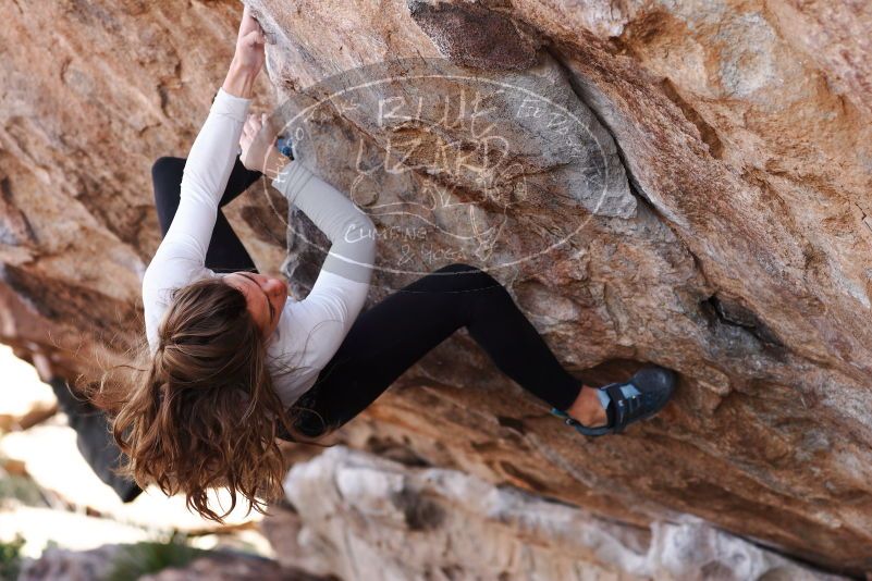 

Filename: SRM_20180107_1057410.jpg
Aperture: f/4.0
Shutter Speed: 1/500
Body: Canon EOS-1D Mark II
Lens: Canon EF 85mm f/1.2 L II