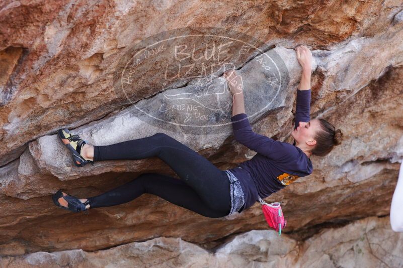 

Filename: SRM_20180107_1054571.jpg
Aperture: f/4.0
Shutter Speed: 1/500
Body: Canon EOS-1D Mark II
Lens: Canon EF 85mm f/1.2 L II