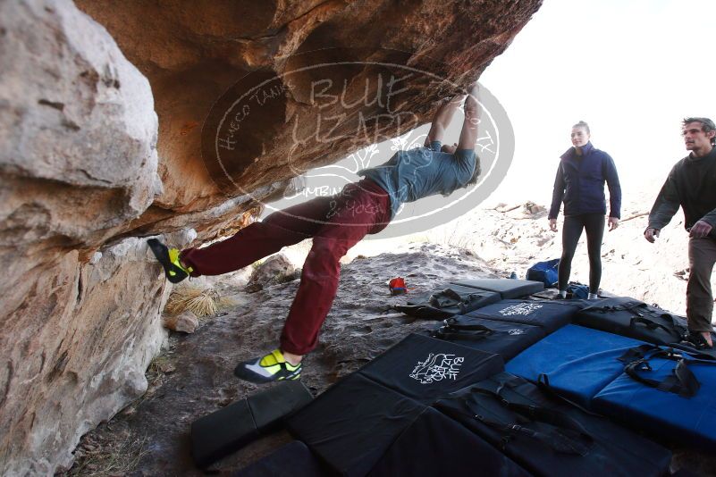 

Filename: SRM_20180107_1126300.jpg
Aperture: f/5.6
Shutter Speed: 1/400
Body: Canon EOS-1D Mark II
Lens: Canon EF 16-35mm f/2.8 L