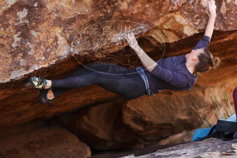 

Filename: SRM_20180107_1139260.jpg
Aperture: f/2.8
Shutter Speed: 1/1000
Body: Canon EOS-1D Mark II
Lens: Canon EF 85mm f/1.2 L II