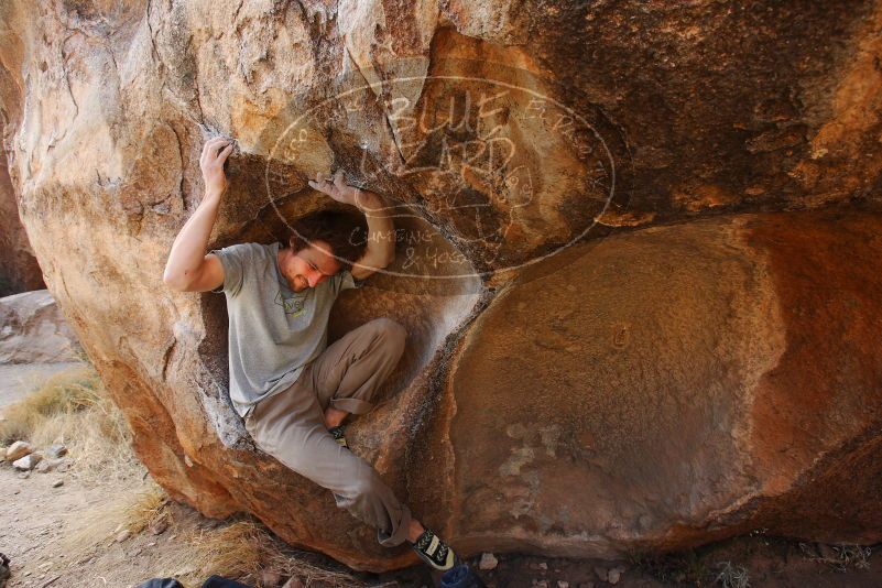 

Filename: SRM_20180108_1212520.jpg
Aperture: f/6.3
Shutter Speed: 1/250
Body: Canon EOS-1D Mark II
Lens: Canon EF 16-35mm f/2.8 L